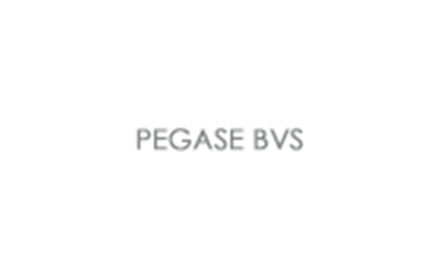 Pegase BVS